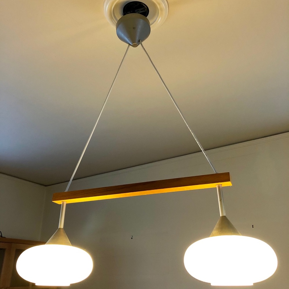 Hanging Flush Mount Ceiling Light